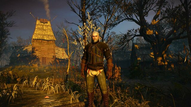 witcher3 2021-12-25 22-33-58-68.jpg