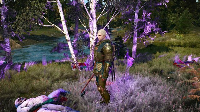 witcher3 2022-01-16 21-39-31-59.jpg