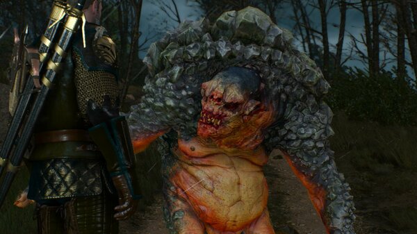 ТРОЛЬ или монстры мира Ведьмак III