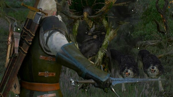 Геральт в боях с монстрами.. Ведьмак III (сборка Торна)