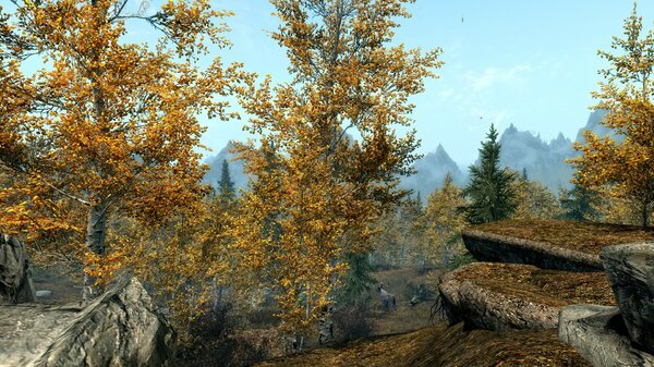 ScreenShot146.jpg