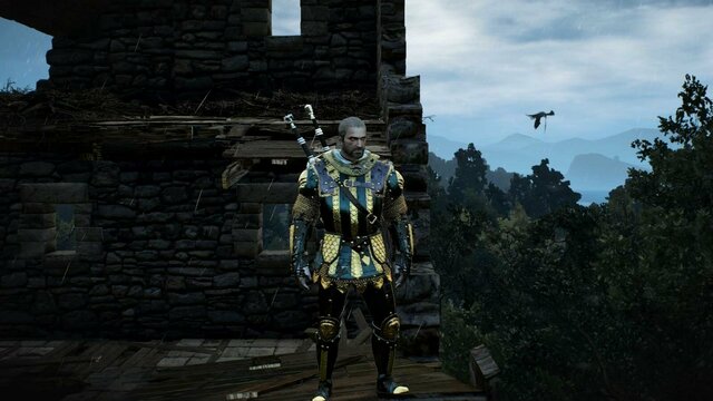 witcher3 2022-01-17 23-01-23-94.jpg