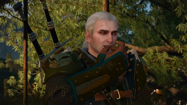 witcher3 2022-01-23 00-20-49-76.jpg