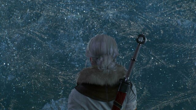 witcher3 2022-01-21 22-48-36-18.jpg