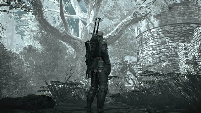 witcher3 2022-02-07 23-03-09-49.jpg