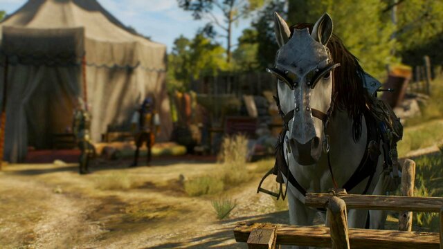 witcher3 2022-01-25 22-47-46-06.jpg