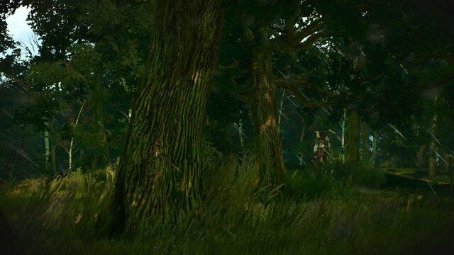 witcher3 2022-01-10 23-50-44-92.jpg