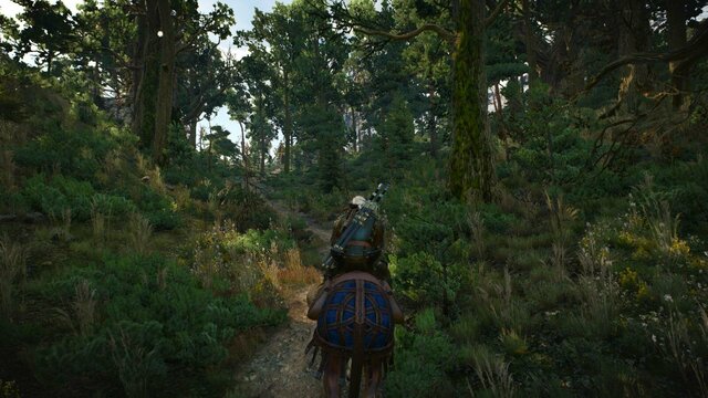 witcher3 2022-02-03 00-08-29-61.jpg