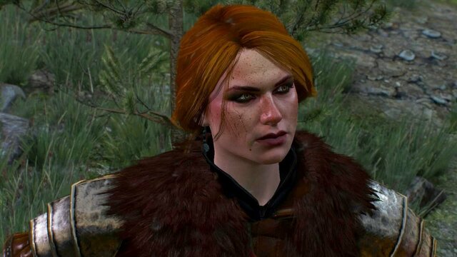 witcher3 2022-01-10 00-29-17-14.jpg