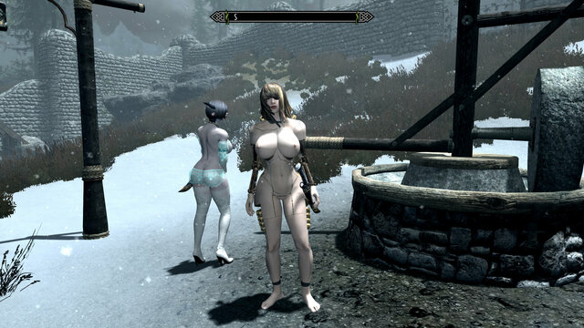 1360277349_SkyrimSE2022-01-0410-15-53-462.thumb.jpg.6b5778a3f0ca5b22bb9476911e9e6d69.jpg