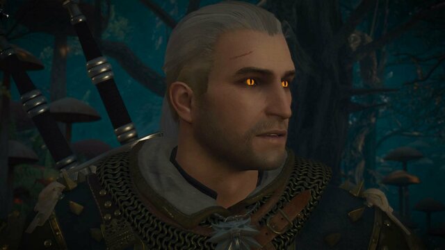 witcher3 2022-02-10 22-36-29-72.jpg