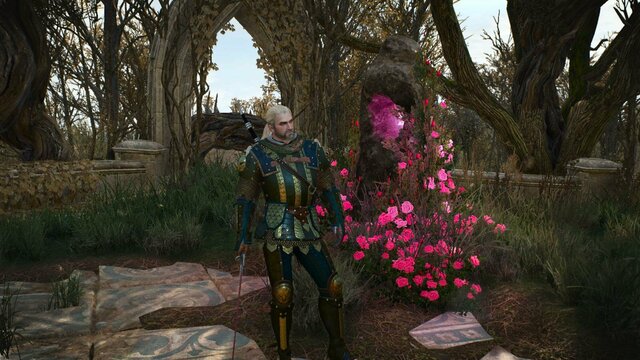 witcher3 2022-02-07 22-10-19-18.jpg