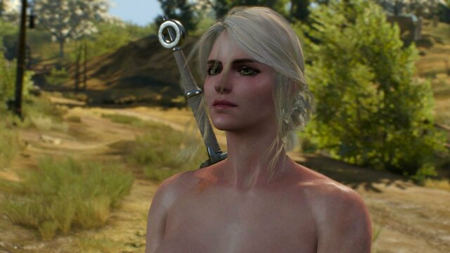 witcher3 2022-01-20 23-09-41-86.jpg