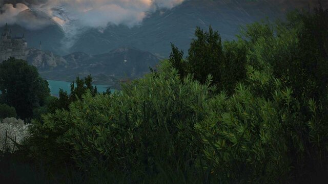 witcher3 2022-01-25 22-39-20-15.jpg