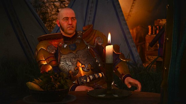 witcher3 2022-01-28 23-56-58-23.jpg