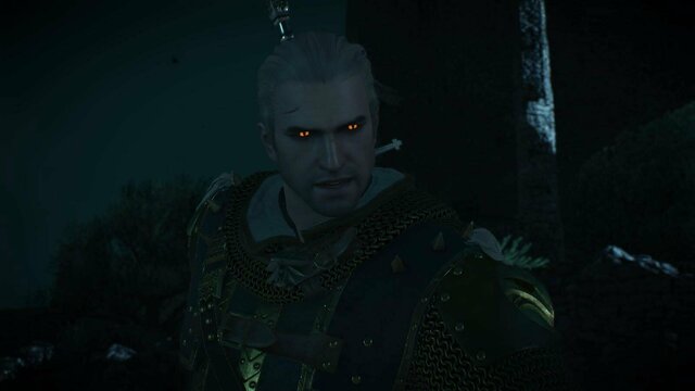 witcher3 2022-02-11 00-03-41-02.jpg