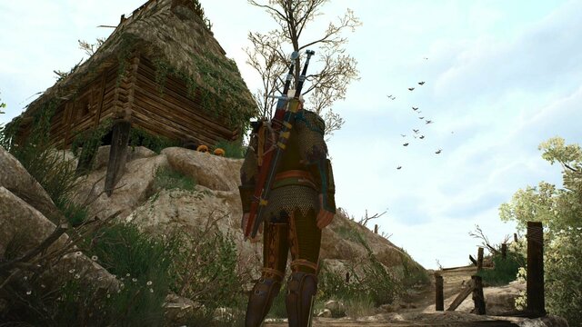 witcher3 2022-01-15 19-15-30-61.jpg