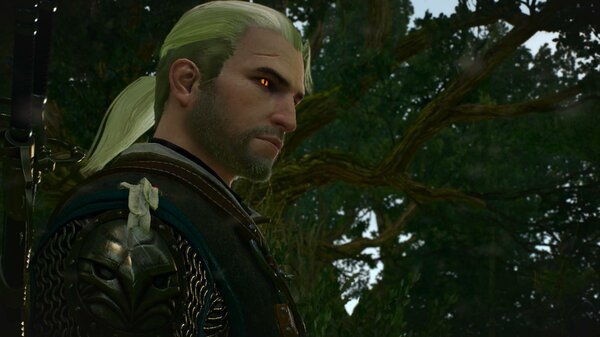 ГЕРАЛЬТ.. Ведьмак III