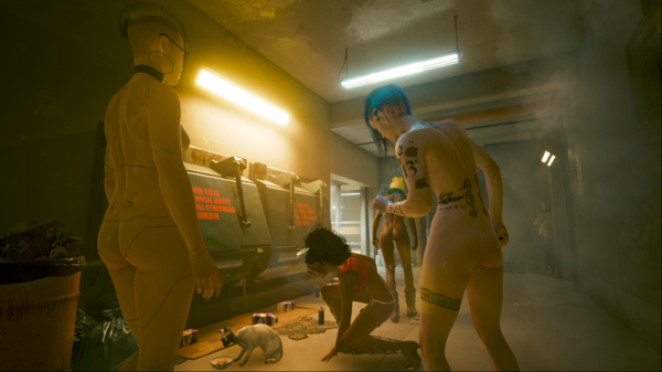 Джуди предложила Ви приютить бездомного котёнка.