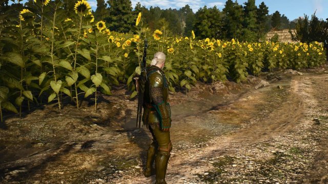 witcher3 2022-02-12 01-08-16-48.jpg
