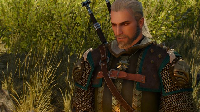 witcher3 2022-01-11 20-52-14-87.jpg