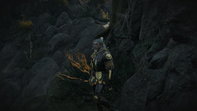 witcher3 2022-02-12 23-29-29-04.jpg