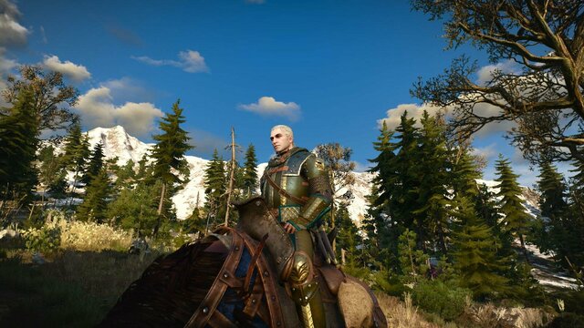 witcher3 2022-02-03 23-40-21-51.jpg