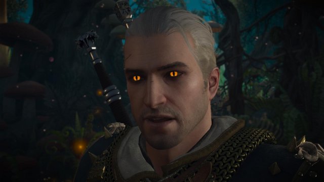 witcher3 2022-02-10 22-36-56-47.jpg