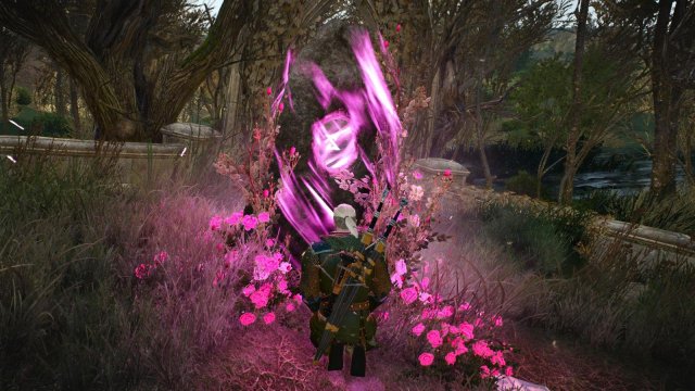 witcher3 2022-02-07 22-10-54-59.jpg