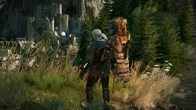 witcher3 2022-01-13 22-18-49-10.jpg
