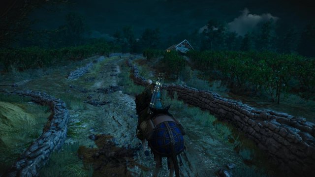 witcher3 2022-01-16 22-07-47-37.jpg