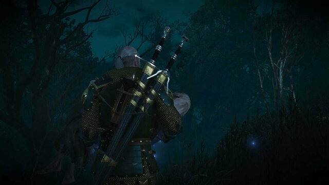 witcher3 2022-02-07 21-55-44-69.jpg