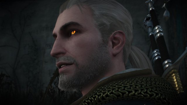 witcher3 2022-02-07 21-31-19-78.jpg