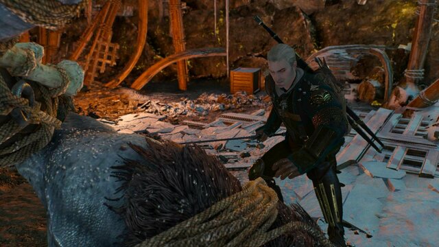 witcher3 2022-01-09 21-52-32-27.jpg