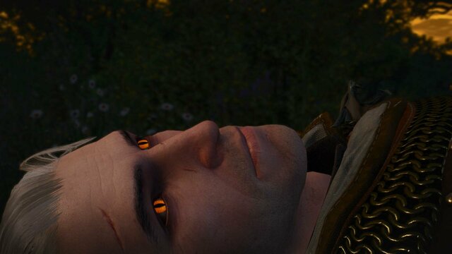 witcher3 2022-01-29 00-48-05-37.jpg