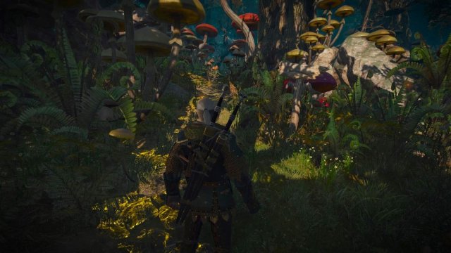 witcher3 2022-02-10 22-36-59-74.jpg