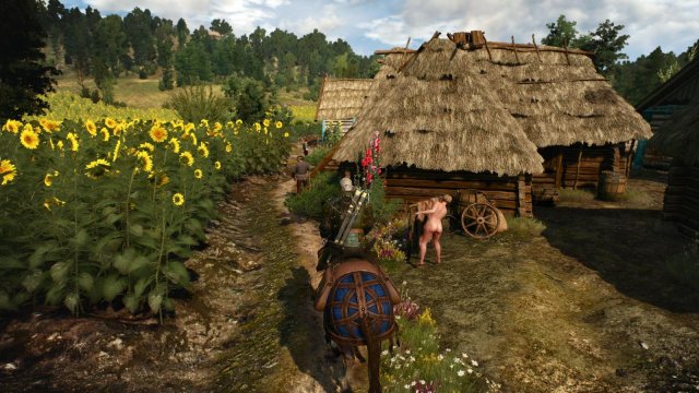 witcher3 2022-01-16 21-46-02-87.jpg