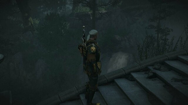 witcher3 2022-02-12 23-33-37-11.jpg