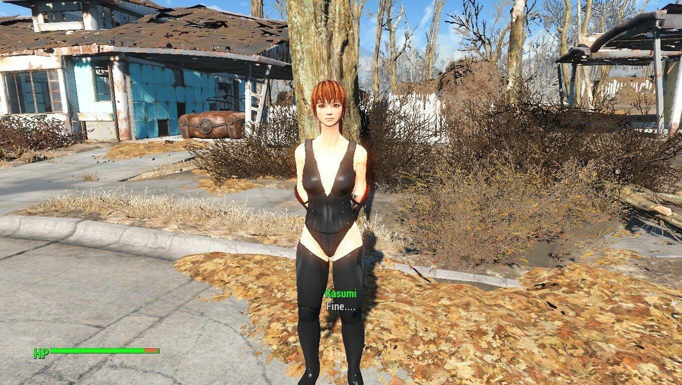 FO4 - Kasumi DOA Companion Rus