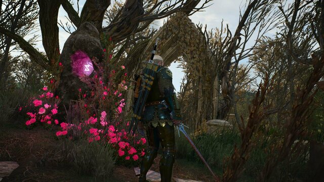 witcher3 2022-02-07 22-10-27-11.jpg