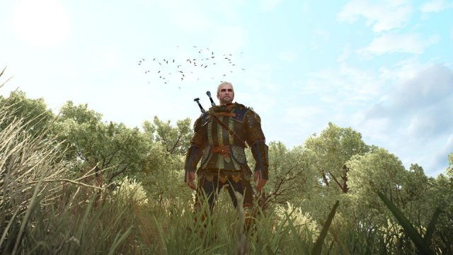 witcher3 2022-02-06 21-13-17-62.jpg