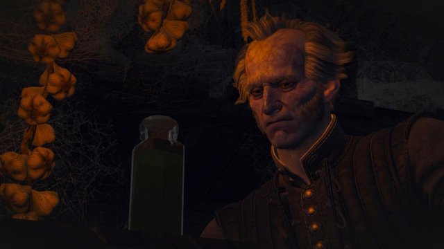 witcher3 2022-02-09 23-48-23-76.jpg