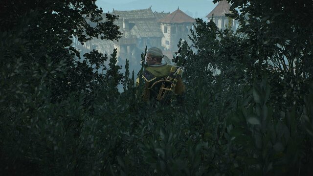 witcher3 2022-02-12 23-28-40-09.jpg