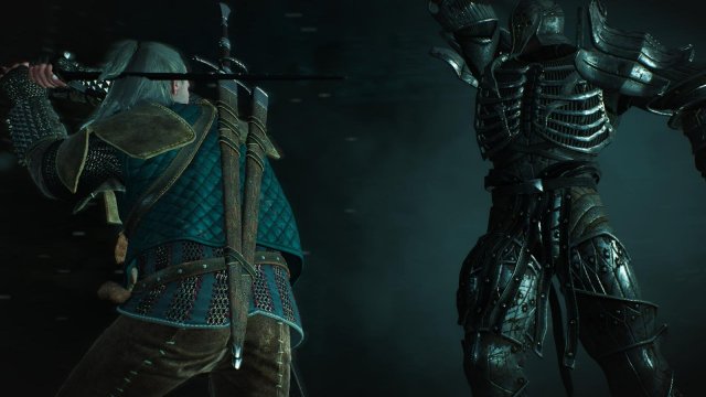 witcher3 2022-01-19 23-16-03-15.jpg