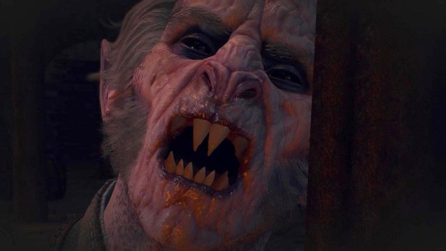 witcher3 2022-02-09 23-42-38-02.jpg