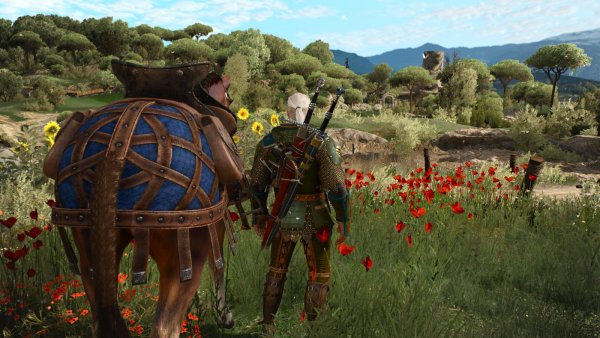 ПЕЙЗАЖНОЕ с Геральтом.. Ведьмак III