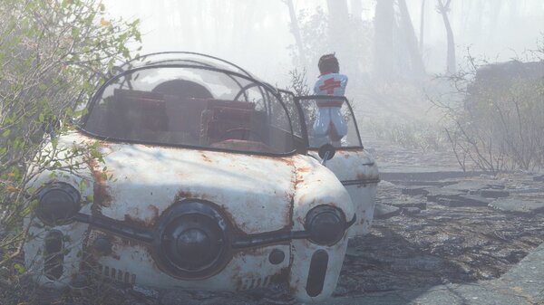 В белых тонах..  Fallout-4 (Сборка 7.0)