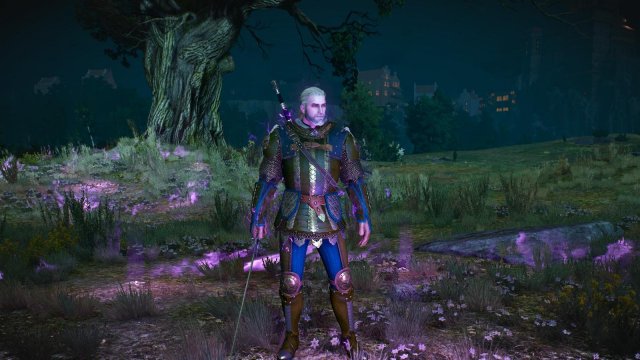 witcher3 2022-01-18 22-20-15-73.jpg