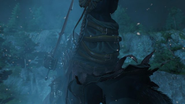 witcher3 2022-01-11 22-41-06-12.jpg