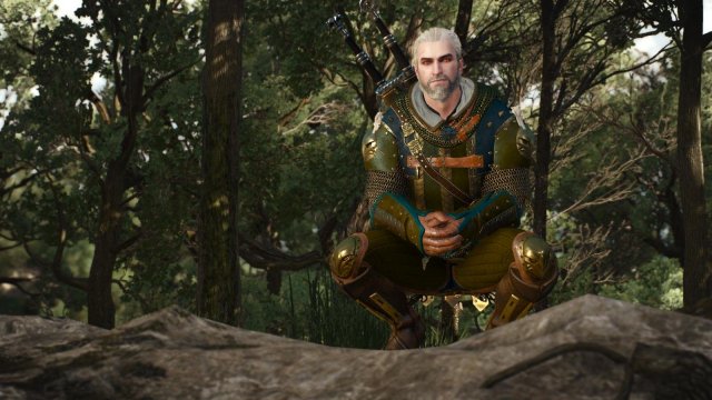 witcher3 2022-01-15 22-22-49-60.jpg